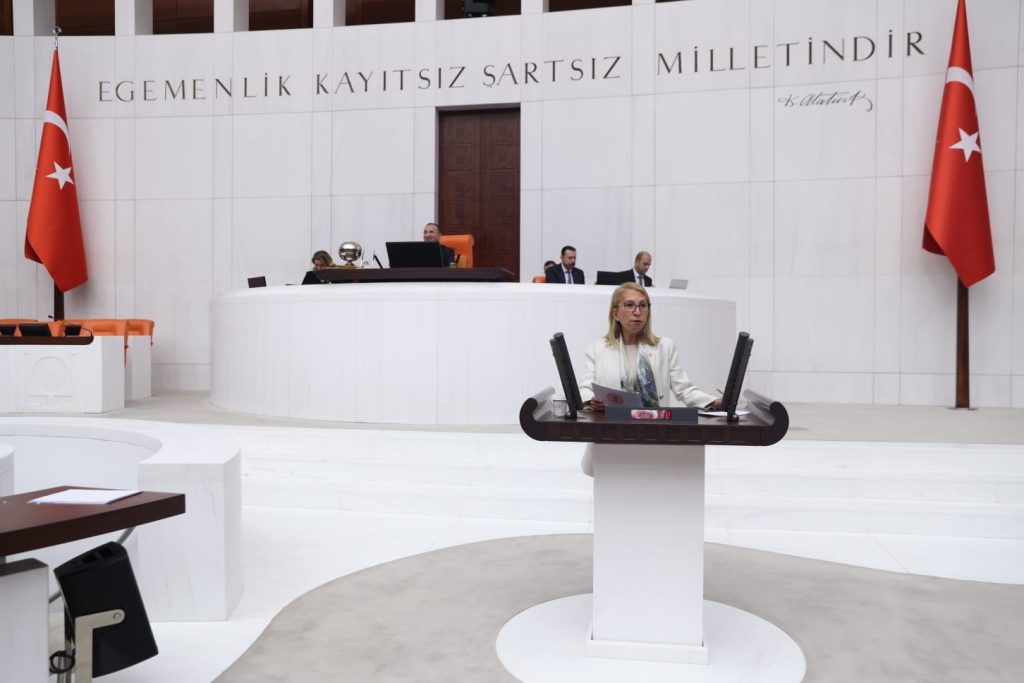 süreyya öneş derici tbmm chp derici kadın konuşması