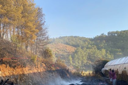 Ortaca yangın ortaca orman yangını ortaca sera ortaca ormanlık alanı