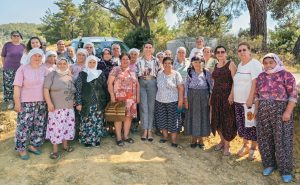 Menteşe Belediyesi Menteşe Belediyesi sağlık desteği Menteşe Belediyesi Sağlık İşleri Müdürlüğü Menteşe Belediyesi sağlık Menteşe sağlık
