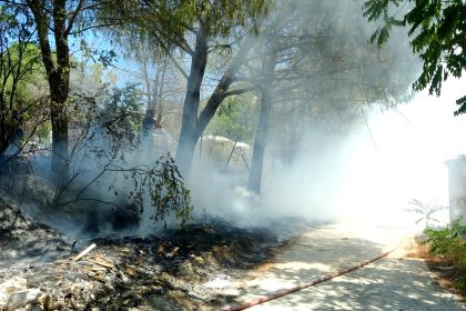 menteşe menteşe yangın menteşe yol kenarı yangın yangın menteşe