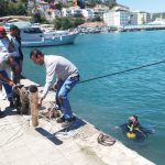 fethiye kordon temizliği Kabotaj Bayramı Fethiye fethiye kabotaj bayramı fethiye deniz temizliği