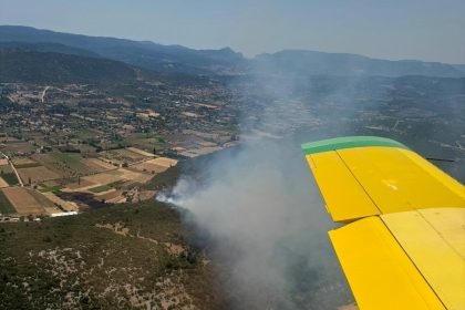 menteşe ormanlık menteşe tarım arazisi menteşe yangın