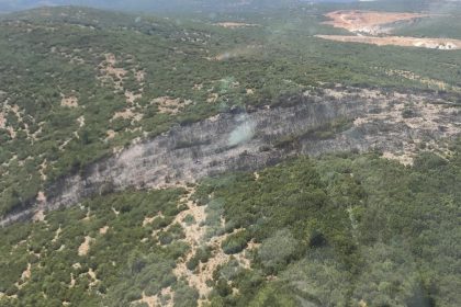 menteşe yangın menteşe menteşe orman yangını menteşe yangını söndürüldü menteşe tarım arazisi