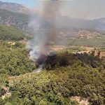 tarım arazisi yangını milas tarım arazisi yangın milas tarım arazisi milas orman yangını milas yangın