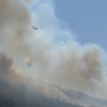 bodrum orman yangını bodrum yangın orman yangını Pınarbelen Mahallesi yangın bodrum