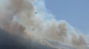 bodrum orman yangını bodrum yangın orman yangını Pınarbelen Mahallesi yangın bodrum