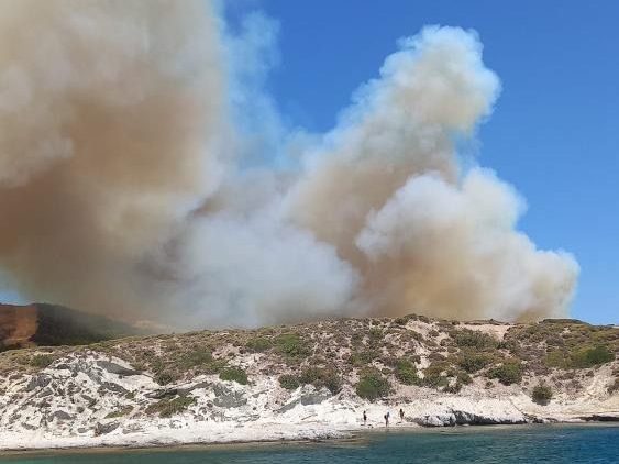 çeşme orman yangını, izmir orman yangını, yangın, çeşmede yangın, çeşme'de yangın