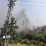 köyceğiz ev yangını köyceğiz orman yangını köyceğiz yangın ev yangını ormana sıçradı yangın ormana sıçradı