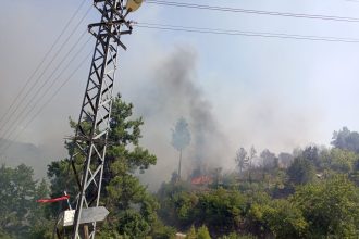köyceğiz ev yangını köyceğiz orman yangını köyceğiz yangın ev yangını ormana sıçradı yangın ormana sıçradı
