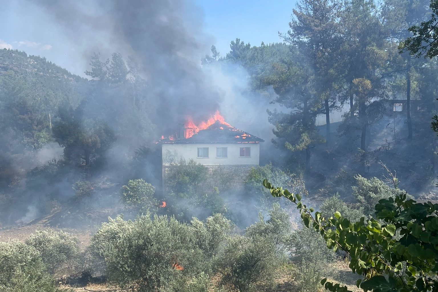 köyceğiz ev yangını  köyceğiz orman yangını köyceğiz yangın ev yangını ormana sıçradı yangın ormana sıçradı