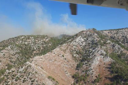 milas yangın milas havadan ve karadan müdahale milas yangın müdahale milas orman yangını milas yangın devam ediyor
