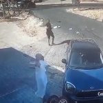 bodrum trafik kazası bodrum alkollü sürücü bodrum elektrikli bisiklet bodrum kaza