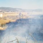 milas yangın söndürüldü milas yangın milas tarım arazisi tarım arazisi yangını