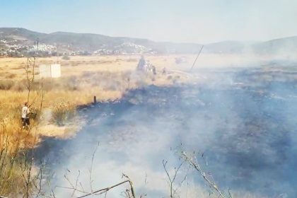 milas yangın söndürüldü milas yangın milas tarım arazisi tarım arazisi yangını