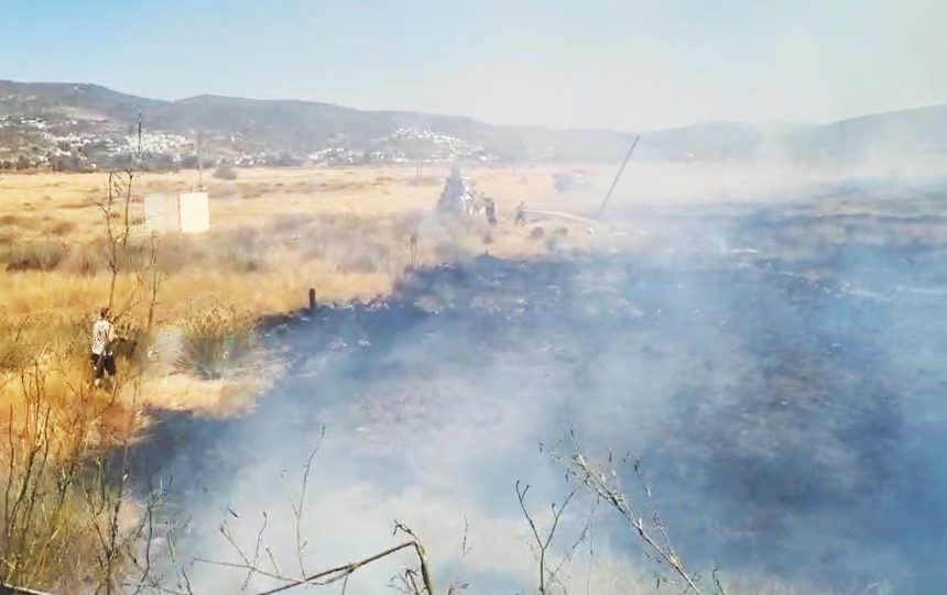 milas yangın söndürüldü milas yangın milas tarım arazisi tarım arazisi yangını