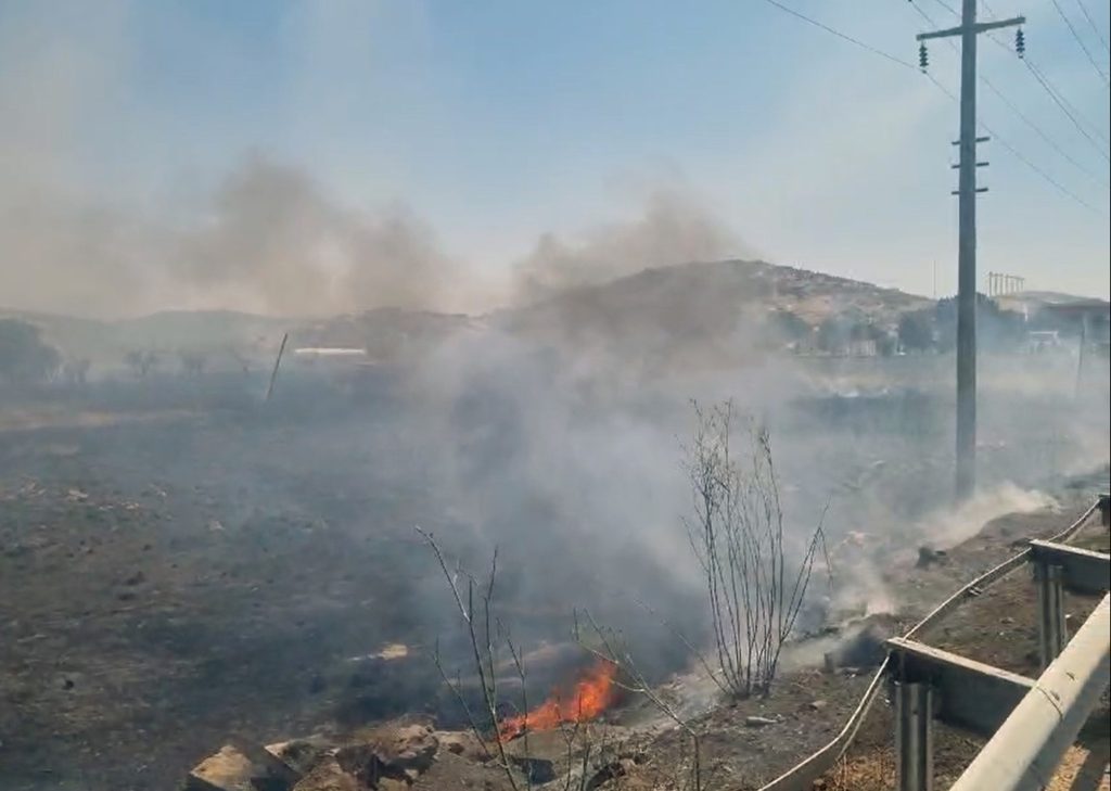 milas yangın söndürüldü milas yangın milas tarım arazisi tarım arazisi yangını