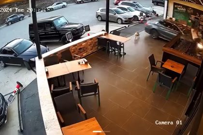 milas trafik kazası milas kaza milas park yapmaya çalışan milas markete dalan araba