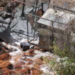 Fethiye yangın Küçük Samanlık Plajı Küçük Samanlık Plajı yangını Küçük Samanlık Plajı çıkan yangın orman yangını fethiye
