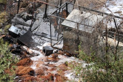 Fethiye yangın Küçük Samanlık Plajı Küçük Samanlık Plajı yangını Küçük Samanlık Plajı çıkan yangın orman yangını fethiye