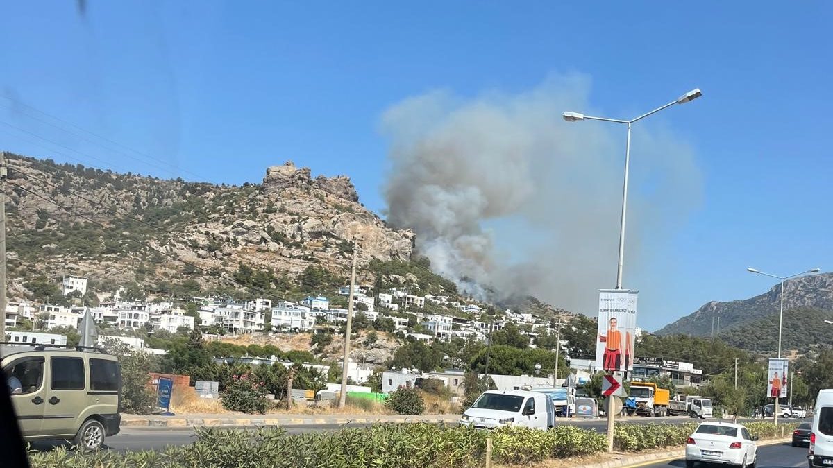 bodrum yangın bodrum makilik yangın bodrum orman yangını bodrum yangın son dakika bodrum gündoğan yangın
