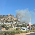 bodrum orman yangını bodrum yangin bodrum yangın son dakika bodrum yangın bodrum gündoğan yangın