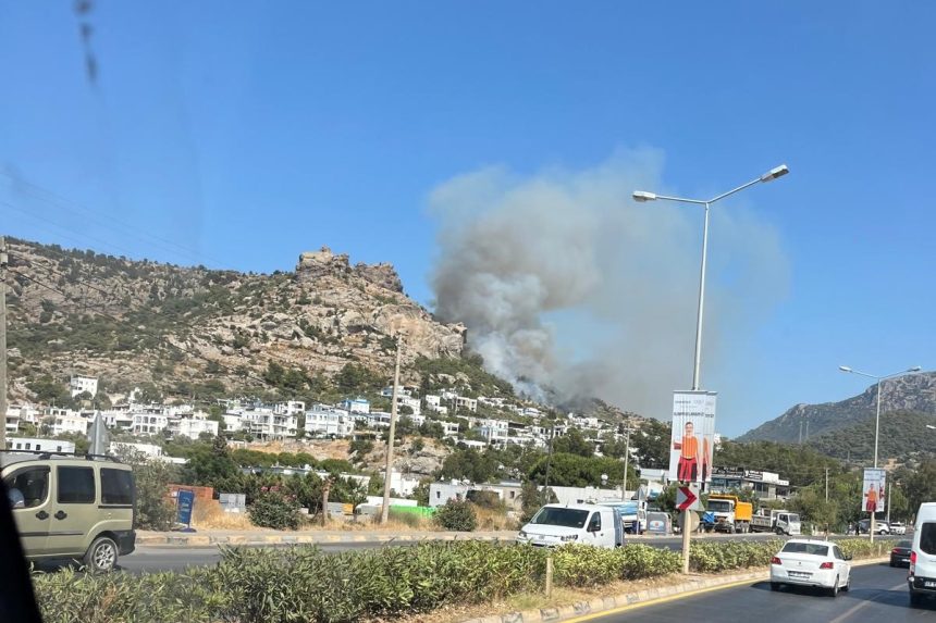 bodrum orman yangını bodrum yangin bodrum yangın son dakika bodrum yangın bodrum gündoğan yangın