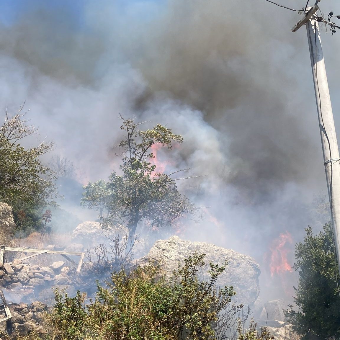 bodrum orman yangını bodrum yangin bodrum yangın son dakika bodrum yangın bodrum gündoğan yangın