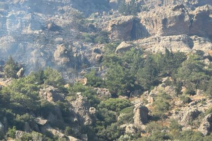 bodrum yangın bodrum makilik yangın bodrum orman yangını bodrum yangın son dakika bodrum gündoğan yangın