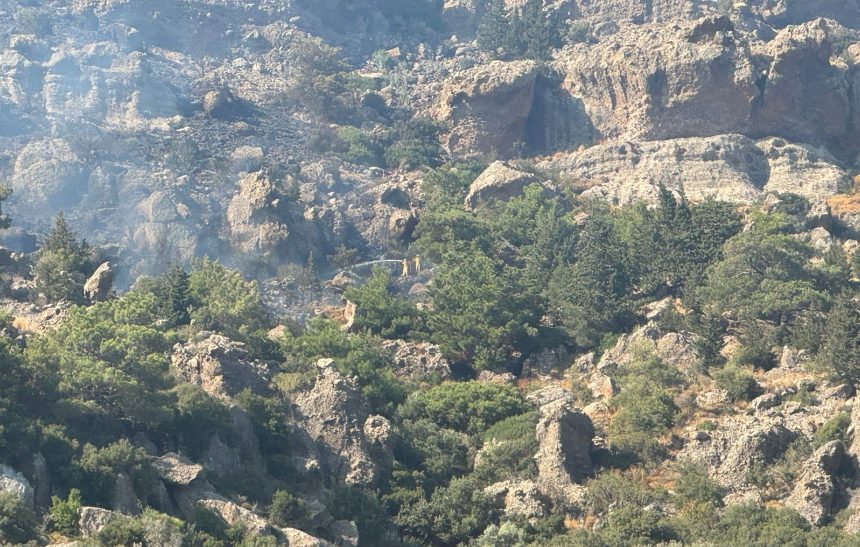 bodrum yangın bodrum makilik yangın bodrum orman yangını bodrum yangın son dakika bodrum gündoğan yangın