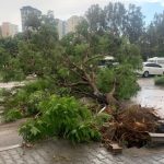 Adana'da fırtına, Adana'da meydana gelen sağanak ve fırtına