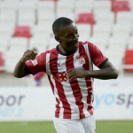 gradel, sakaryaspor, sakaryaspor transfer, gradel sakaryaspor, max gradel