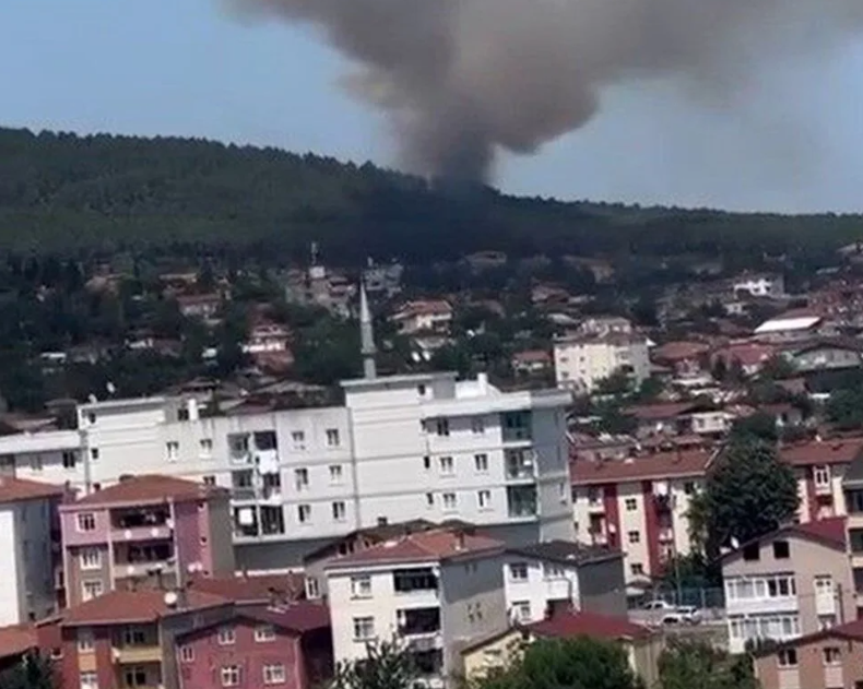 aydos ormanı nerde, aydos ormanı yangın, pendik yangın, pendik aydos yangın, aydos son dakika