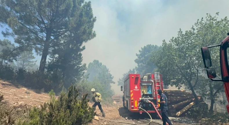 aydos ormanı nerde, aydos ormanı yangın, pendik yangın, pendik aydos yangın, aydos son dakika