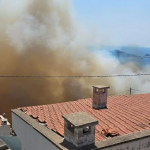 dikili çandarlı çandarlı yangın dikili yangın mavikent sitesi izmir çandarlı yangın