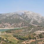 milas yangını kontrol altında yangın kontrol altına alındı milas orman yangını Muğla valisi