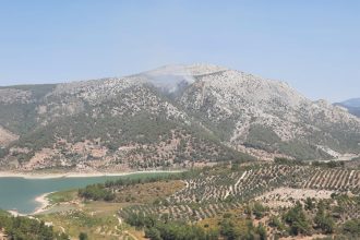 milas yangını kontrol altında yangın kontrol altına alındı milas orman yangını Muğla valisi