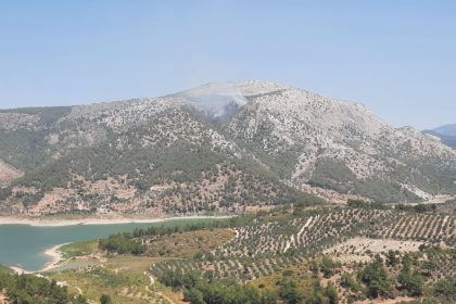 milas yangını kontrol altında yangın kontrol altına alındı milas orman yangını Muğla valisi