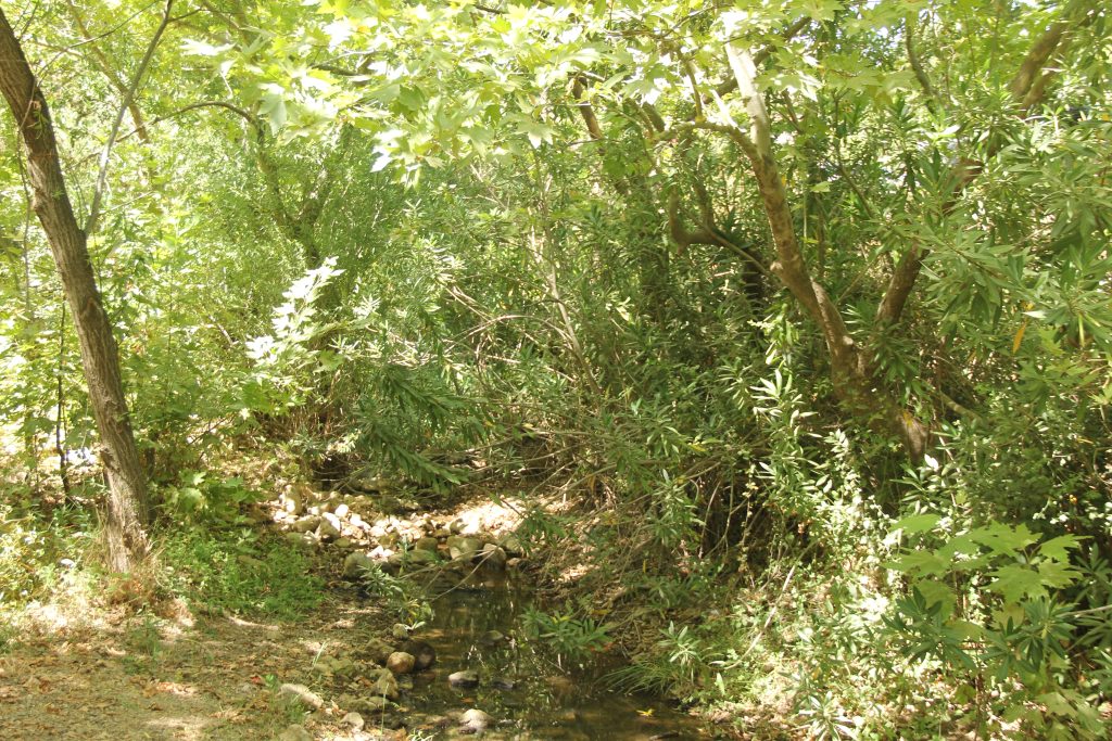 muğla su inisiyatifi msi dereköy msi dereköy açıklama msi bodrum dereköy msi bodrum röportaj