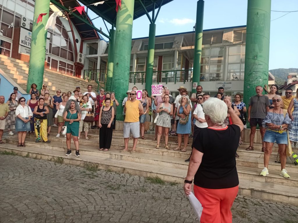 Fethiye Kent Konseyi Fethiye Kent Konseyi hayvan hakları için eylem Hayvanları Koruma Kanunu fethiyede sokak hayvanları için eylem fethiye sokak hayvanları basın açıklaması Fethiye Belediyesi Özer Olgun Kültür Merkezi