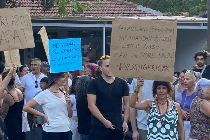 sokak hayvanları yasası gökova sokak hayvanları basın açıklaması sokak hayvanları öldürüldü Gökova sokak hayvanları