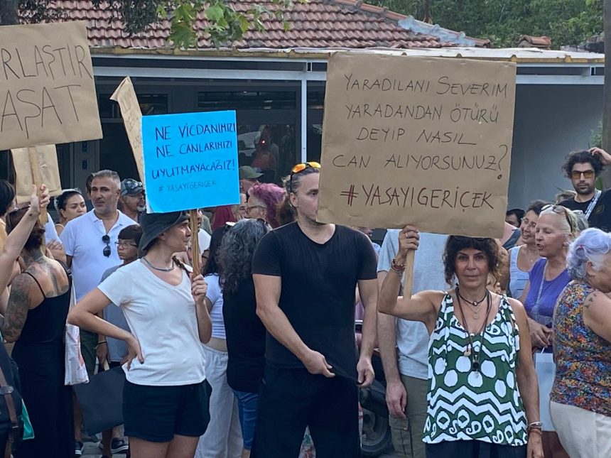 sokak hayvanları yasası gökova sokak hayvanları basın açıklaması sokak hayvanları öldürüldü Gökova sokak hayvanları