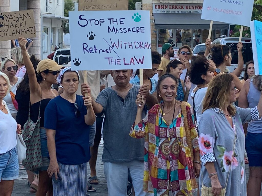 sokak hayvanları yasası  gökova sokak hayvanları basın açıklaması sokak hayvanları öldürüldü Gökova sokak hayvanları