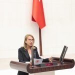 chp Sokak hayvanları yasası hayvanlari koruma kanunu süreyya öneş derici hayvan hakları yasası