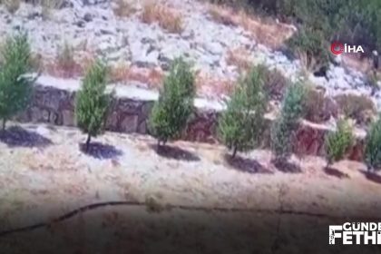 kaybolan alzaymır hastası, kayıp olan alzaymır hastası