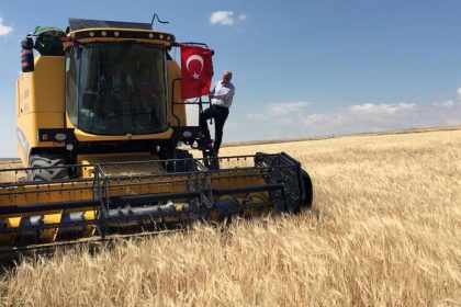 Muğla Valiliği anız yangınlarında, biçerdöver ile ürün hasadı ve anız yangınlarına karşı