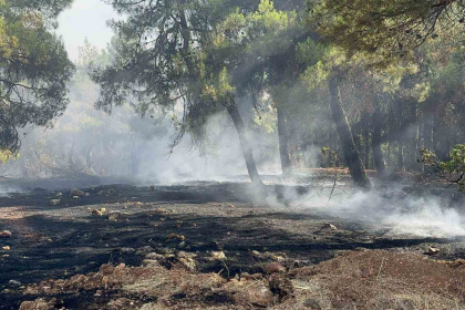 Gaziantep orman yangını Dülükbaba yangın Dülük Baba Gaziantep yangın Gaziantep son dakika yangın