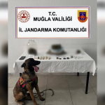ortaca uyuşturucu ortaca uyuşturucu operasyonu ortacada uyuşturucu operasyonu muğla ortaca uyuşturucu ortacada uyuşturucu