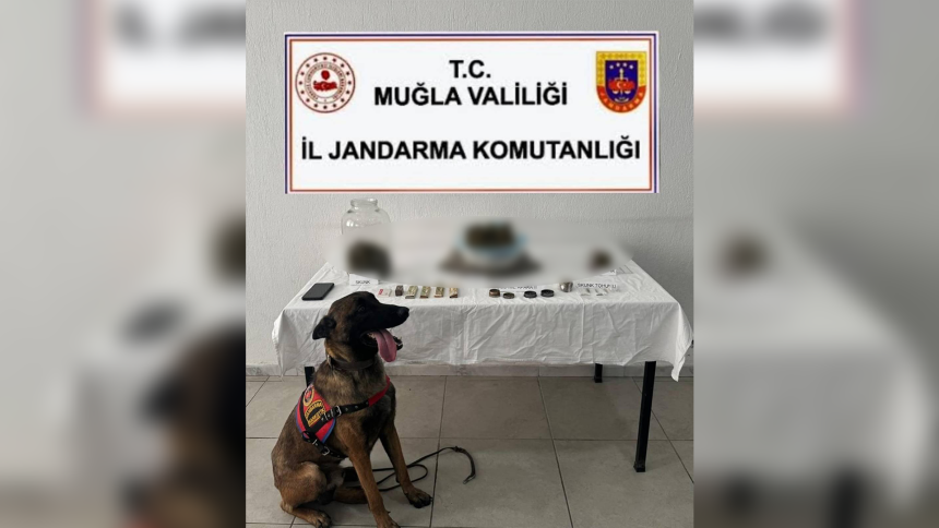 ortaca uyuşturucu ortaca uyuşturucu operasyonu ortacada uyuşturucu operasyonu muğla ortaca uyuşturucu ortacada uyuşturucu
