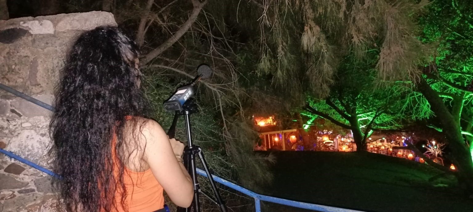 ses ve gürültü cezası, ses ve gürültüye yönelik denetimler