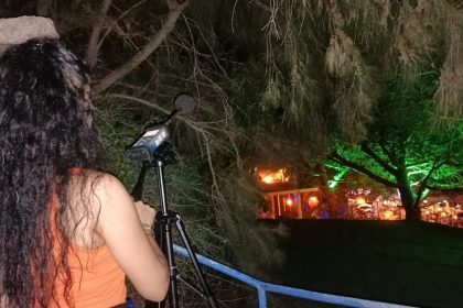 ses ve gürültü cezası, ses ve gürültüye yönelik denetimler